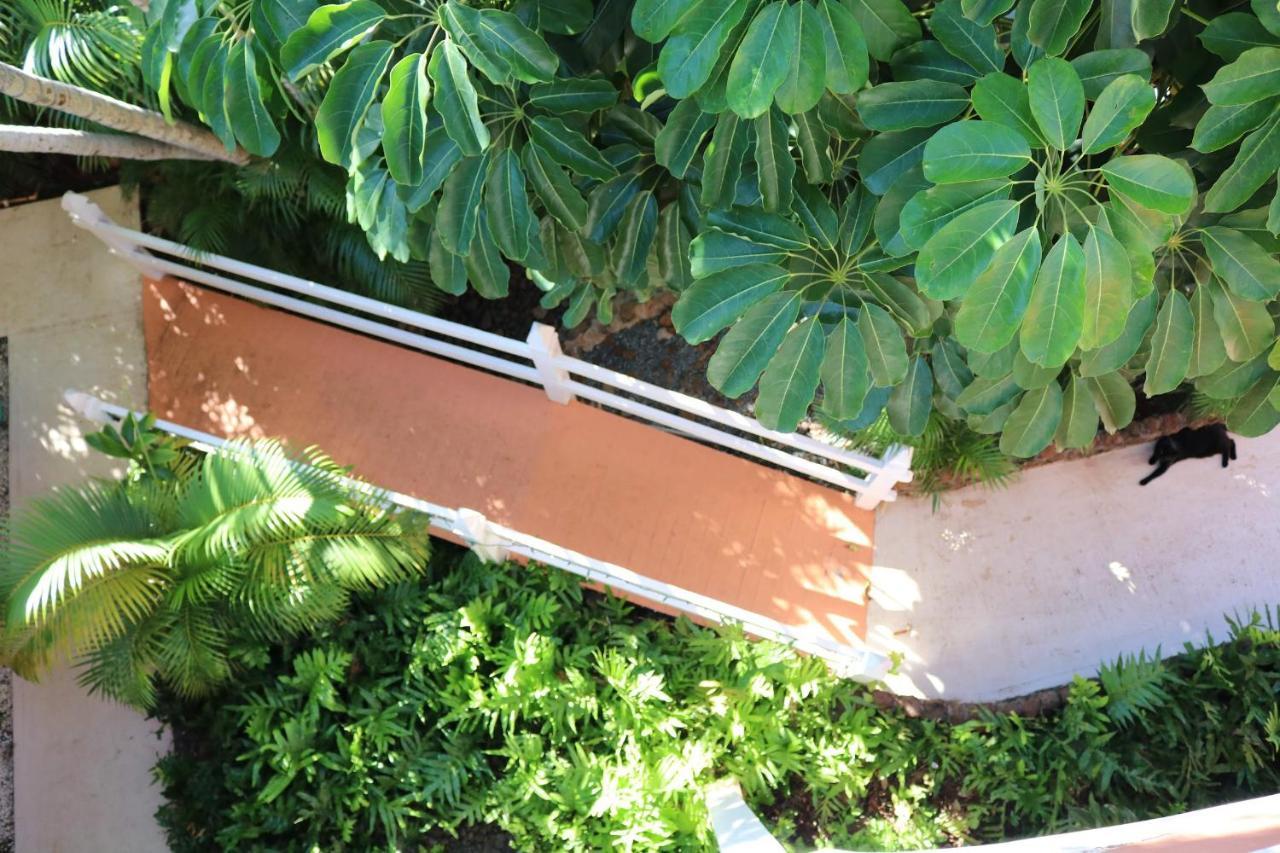 拉海纳毛伊岛花园绿洲宾馆别墅 外观 照片